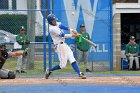 Baseball vs Babson  Wheaton College Baseball vs Babson College. - Photo By: KEITH NORDSTROM : Wheaton, baseball